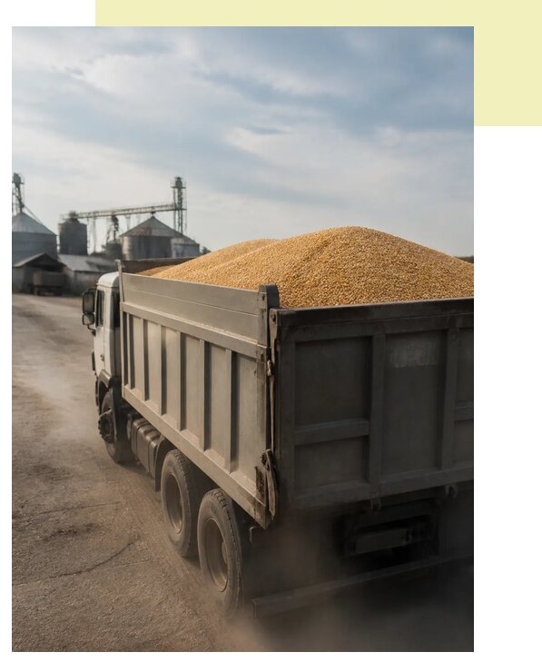 Перевозка сельхозпродукции навалом в Мариинск по цене от 3059 р. | Агросервис-Мрн