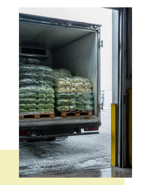 Перевозка замороженных овощей в Мариинск автотранспортом